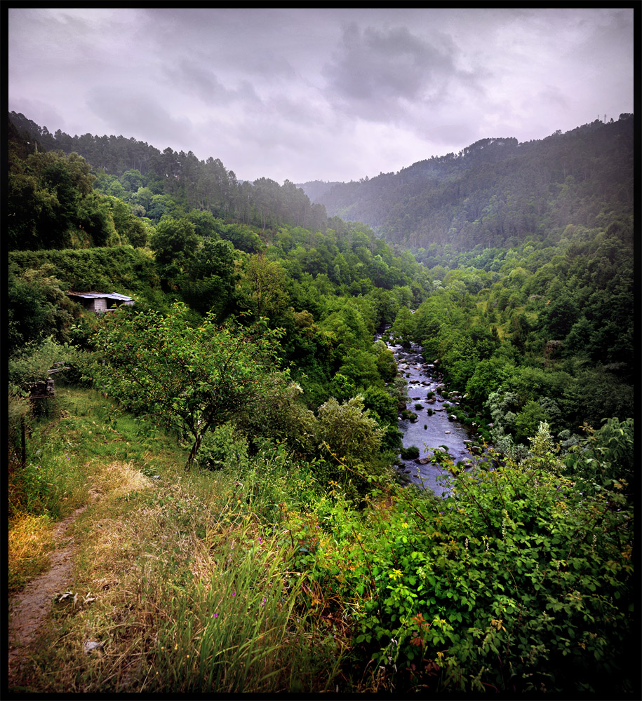 grünes Land