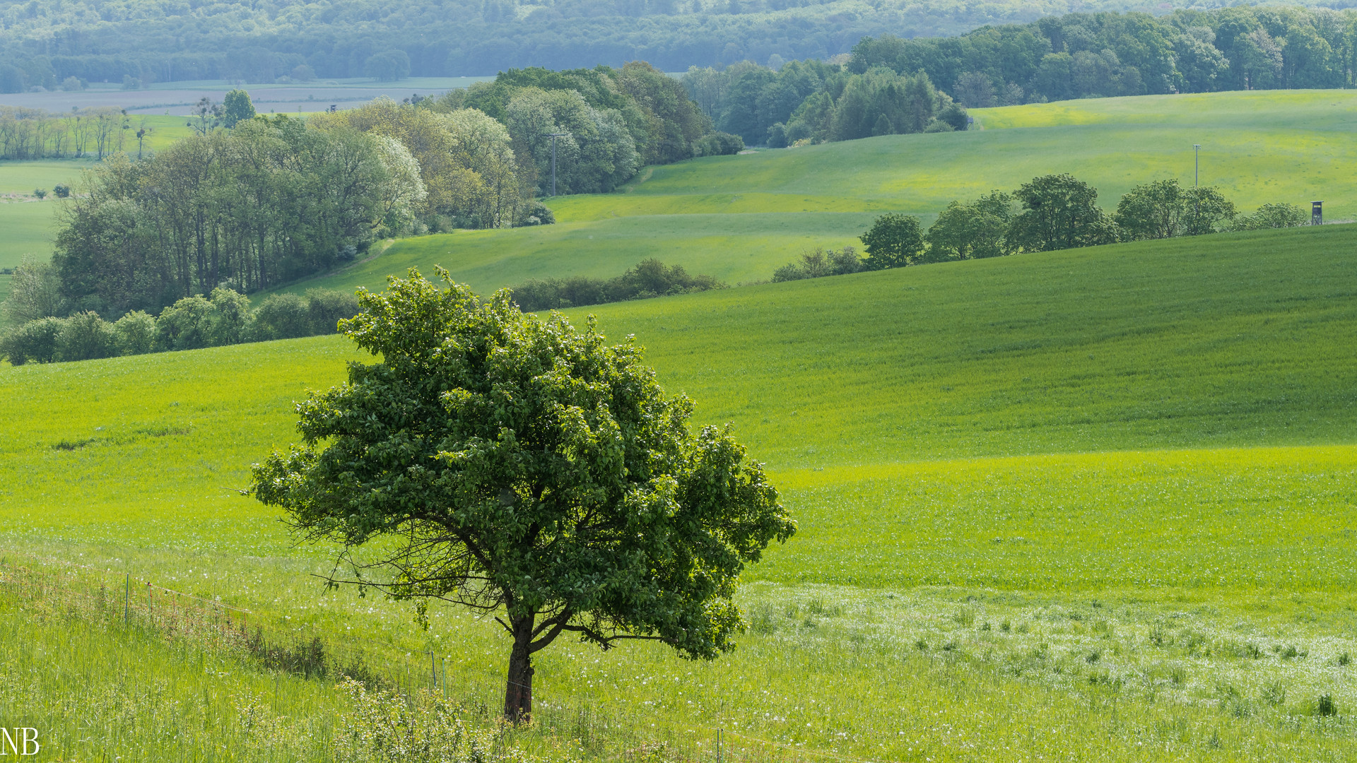 "Grünes Land an Christi Himmelfahrt 2023"