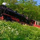 GRÜNES LAND DER SELKETALBAHN  HSB 30