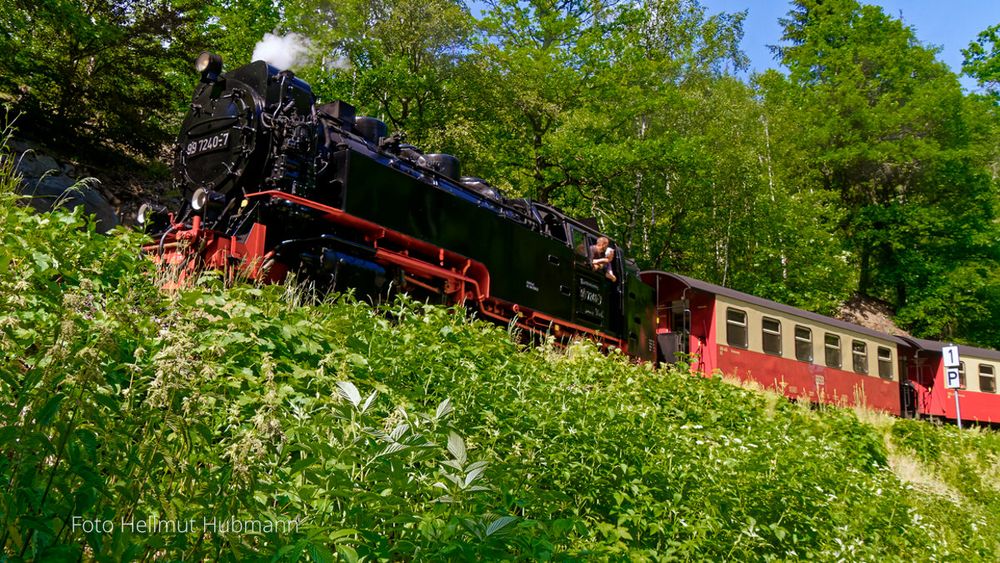 GRÜNES LAND DER SELKETALBAHN  HSB 30