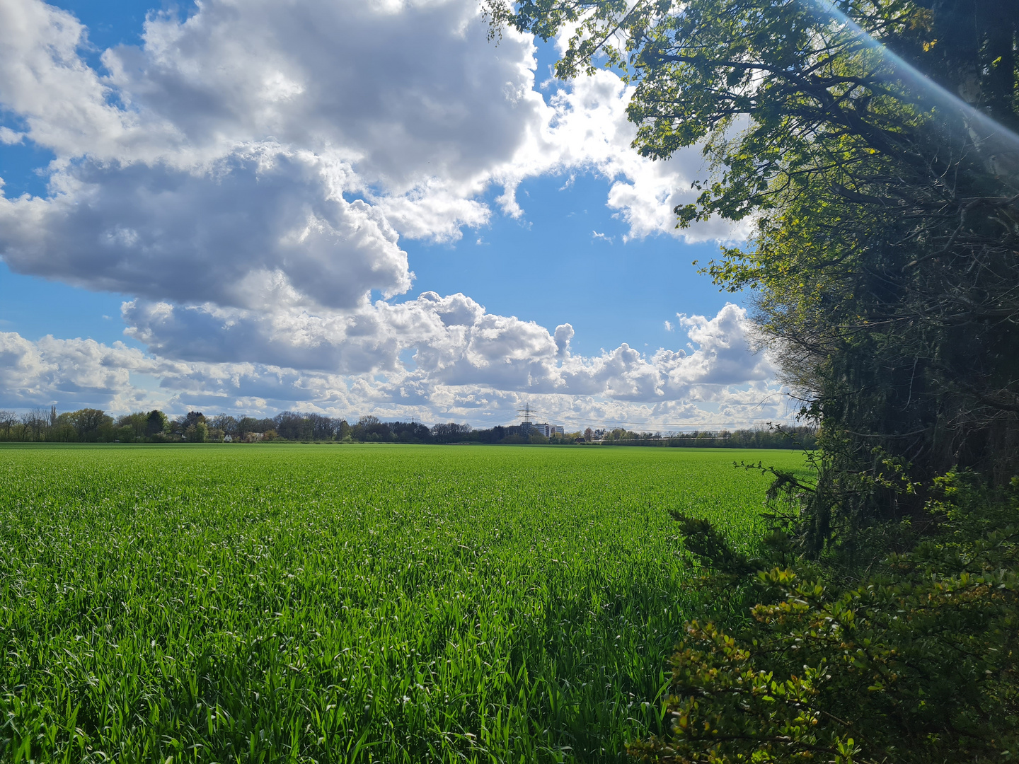 Grünes Licht