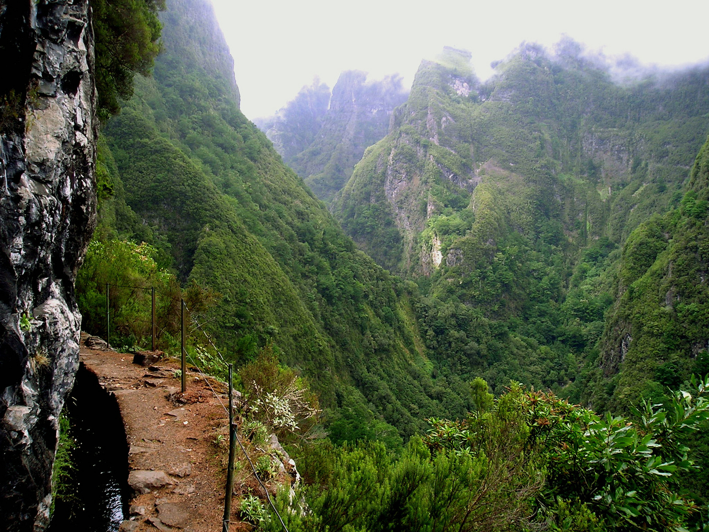 Grünes Madeira