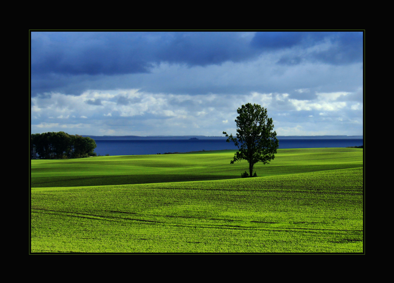 grünes Meer