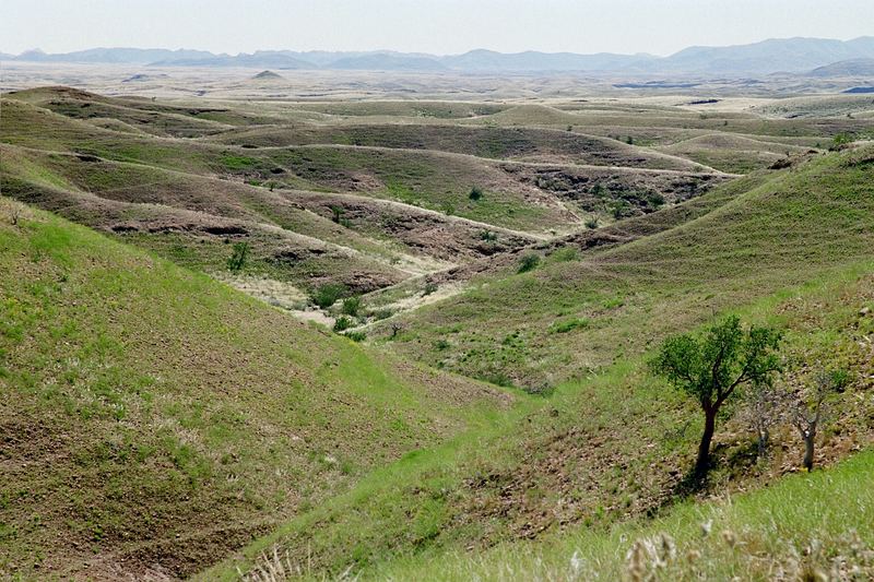 Grünes Namibia