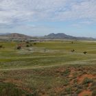 Grünes Namibia