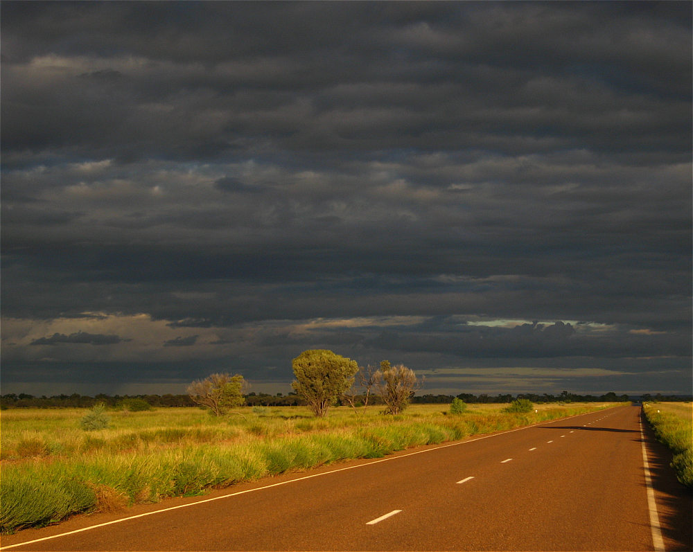 Grünes Outback