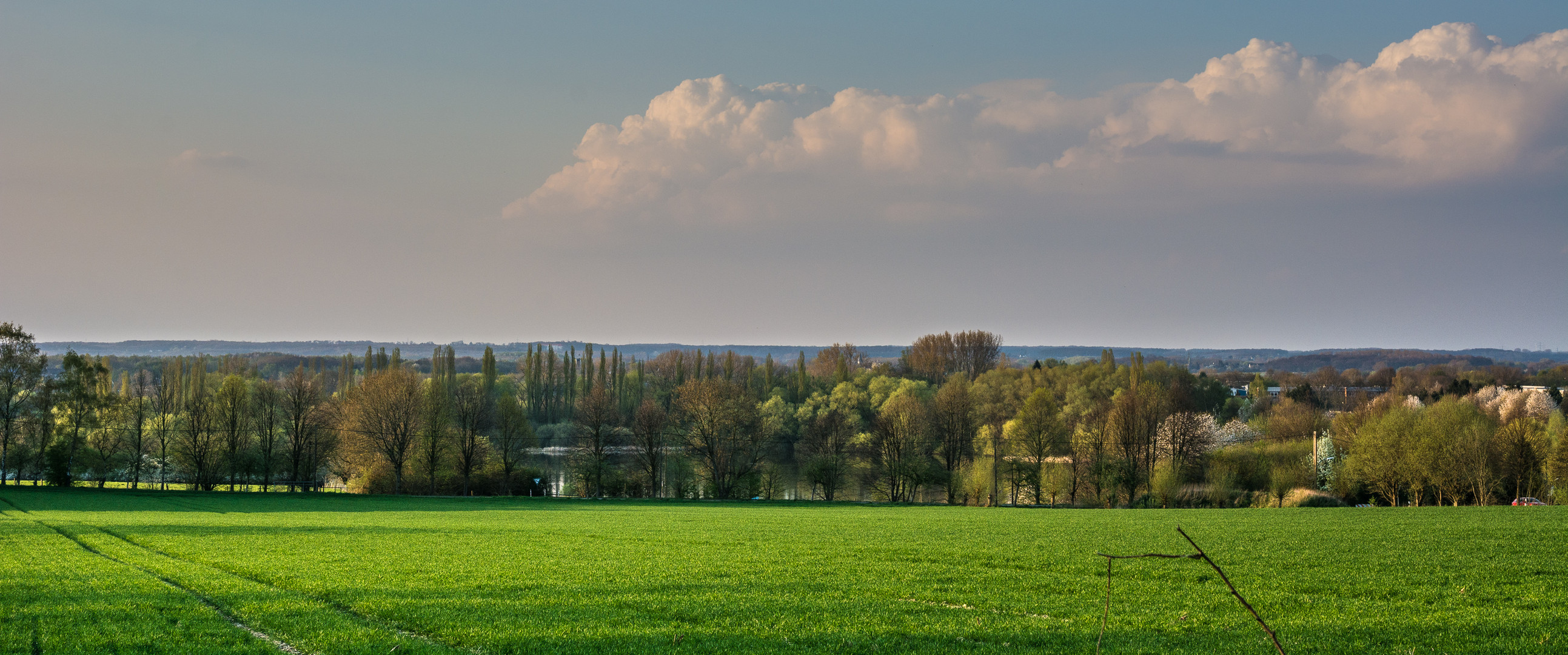 grünes Panorama