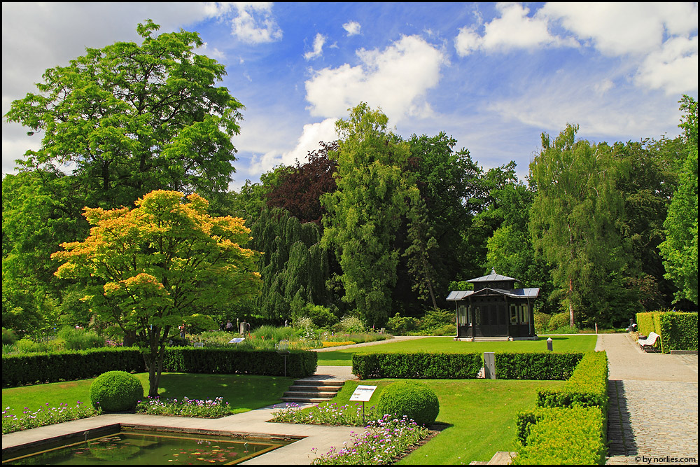 Grünes Paradies