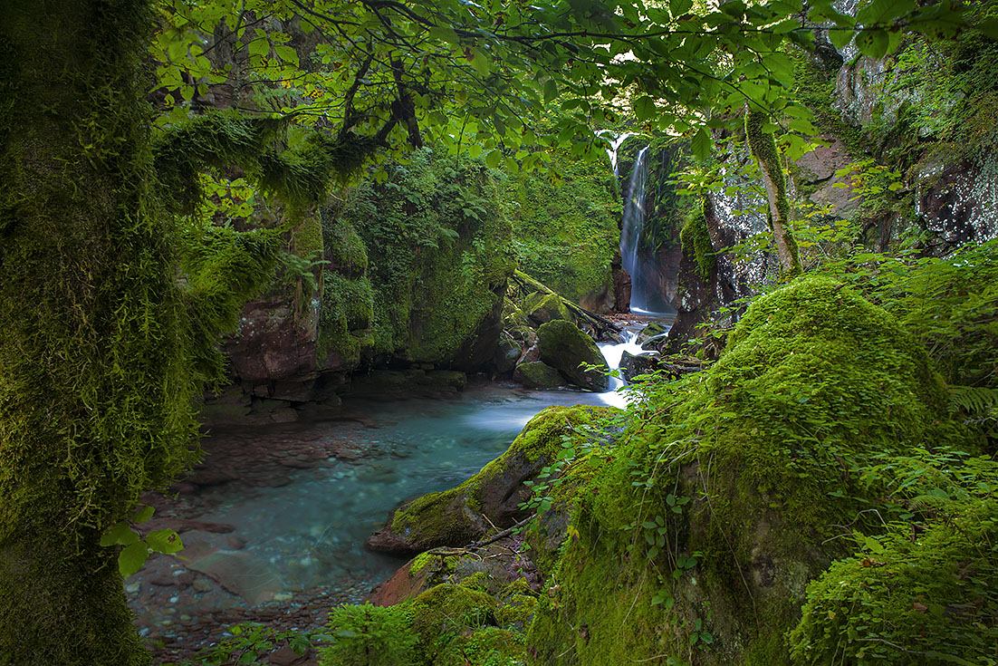 Grünes Paradies am Walensee