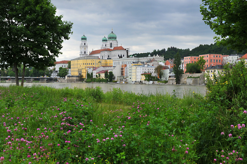 grünes Passau