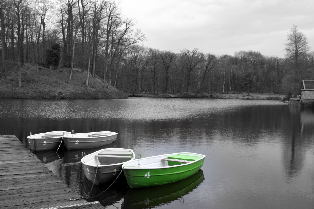 Grünes Ruderboot Nr. 4