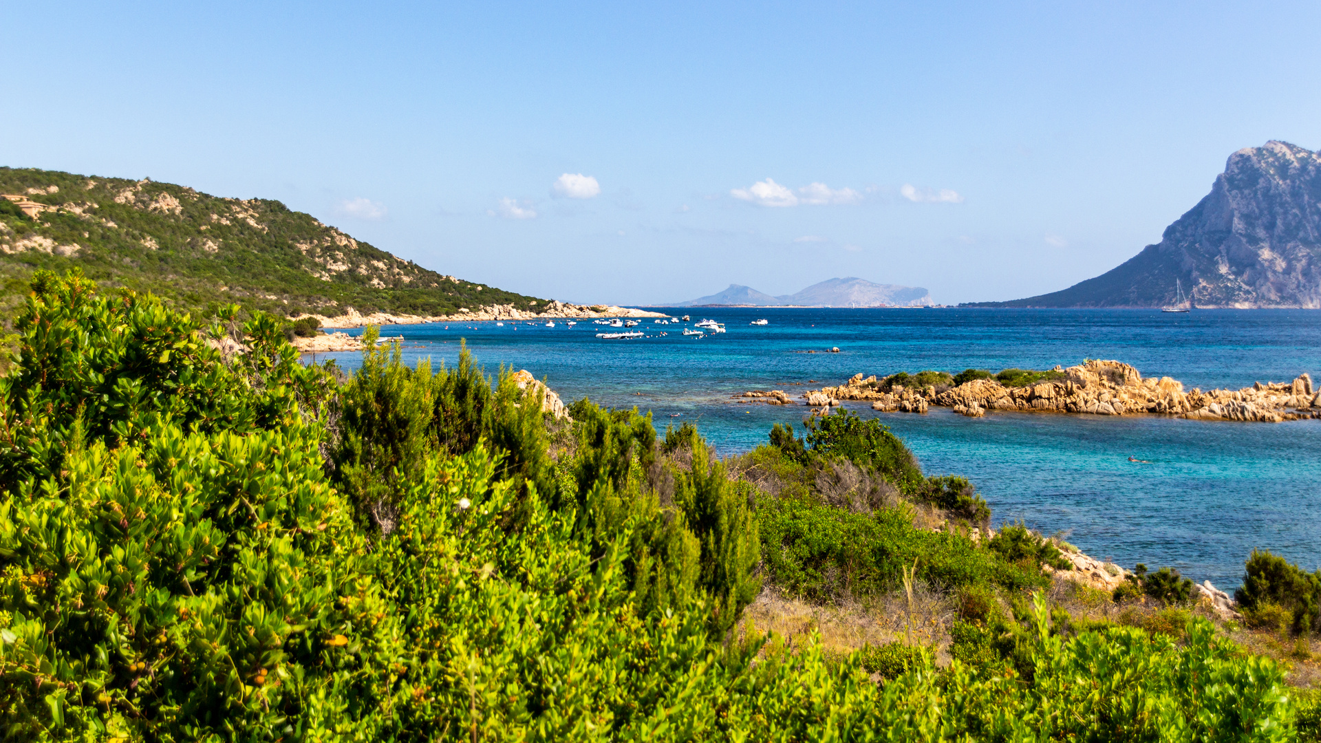 Grünes Sardinien