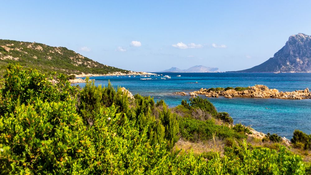 Grünes Sardinien