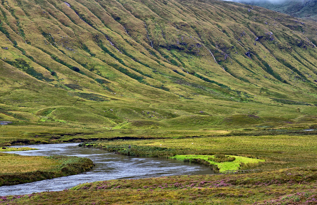 grünes Schottland