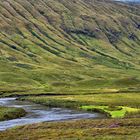 grünes Schottland