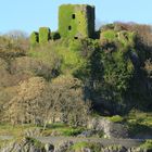 grünes Schottland überall - Ruine