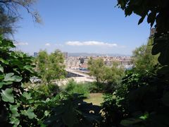 grünes Sonnenstadt-Panorama