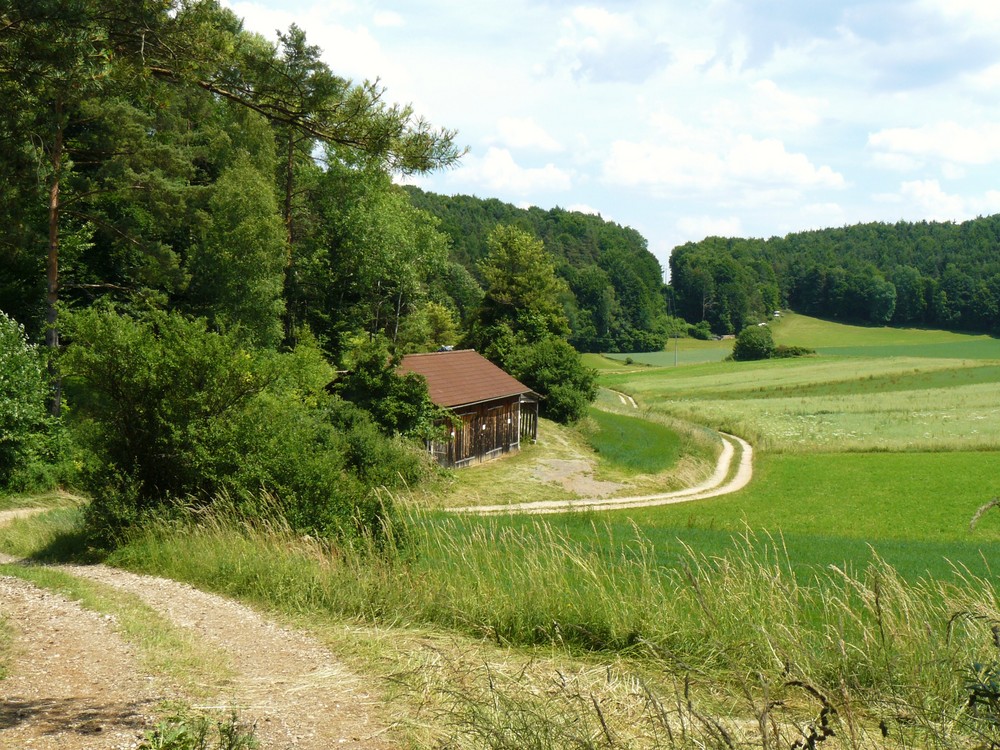 grünes Tal by Glüli 