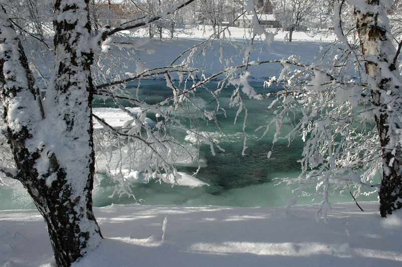 Grünes Wasser