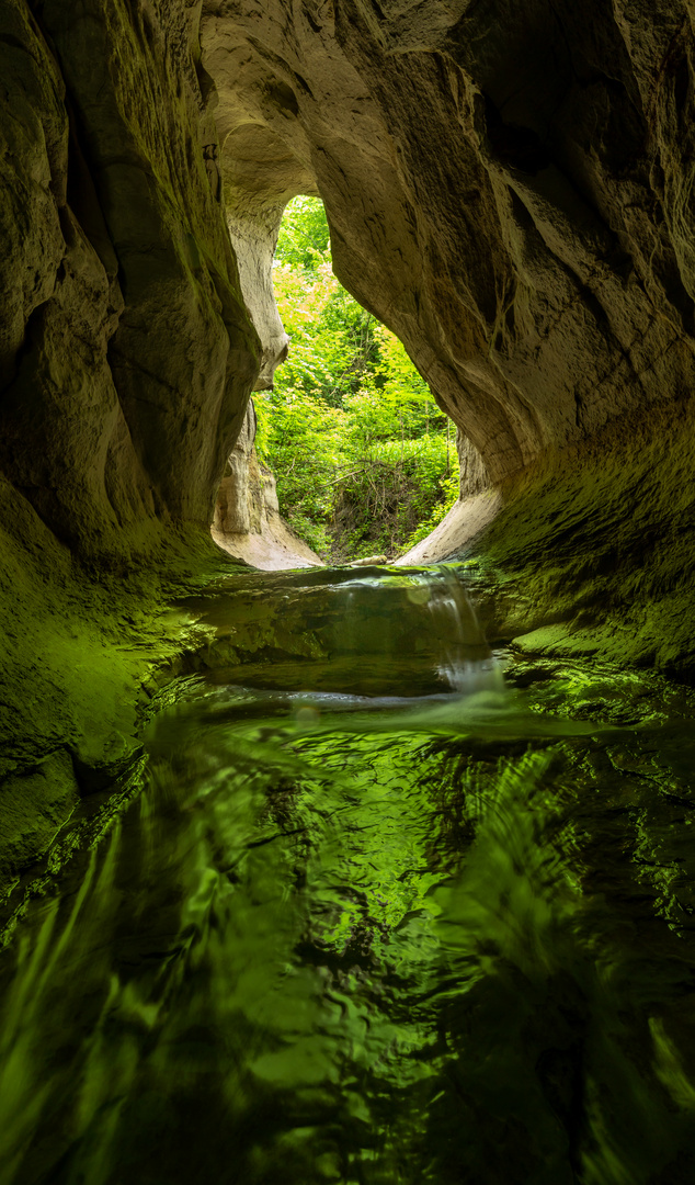 grünes Wasser