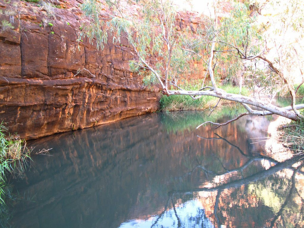 Grünes Wasser bleibt Still