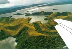 Grünes West- Papua