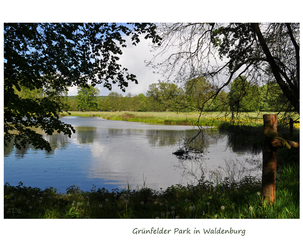 Grünfelder Park (2)