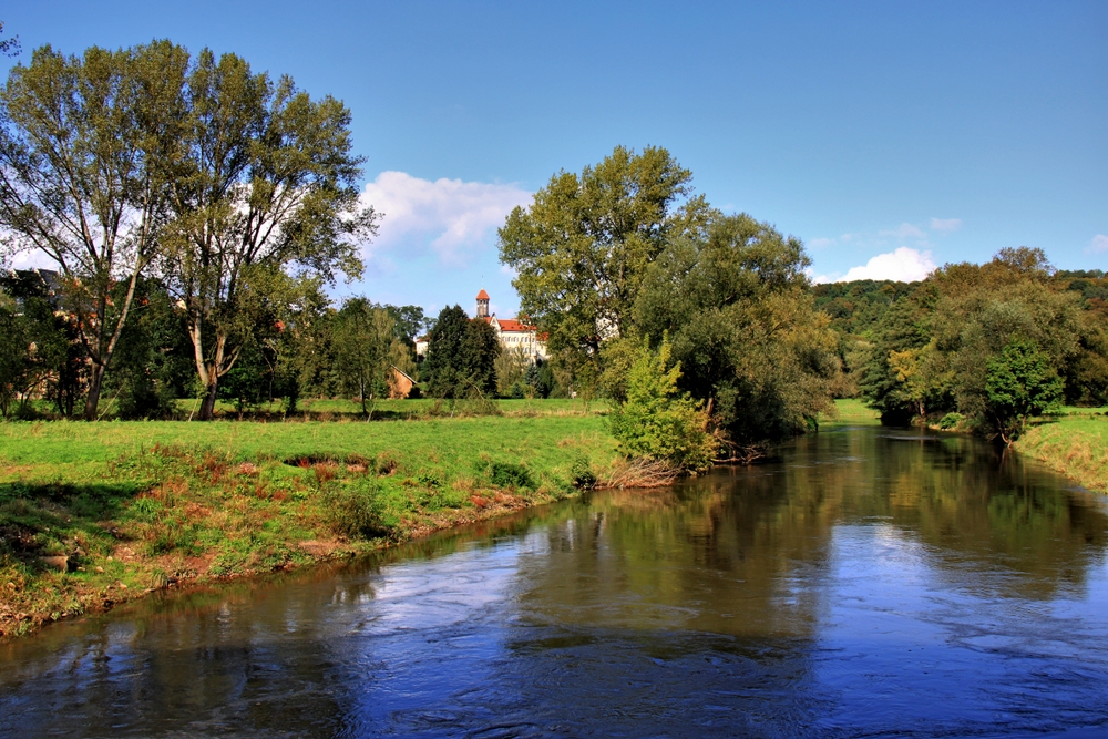 Grünfelder Park mit Mulde