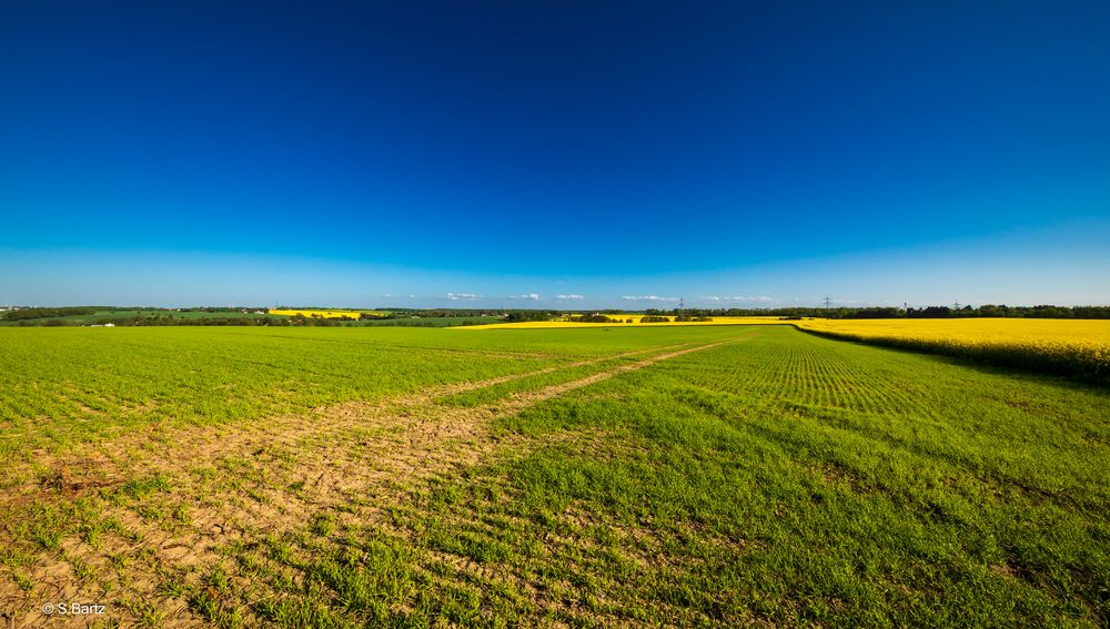 Grün,Gelb,Blau  