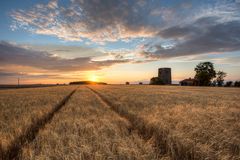 Grüninger Warte im Sonnenuntergang