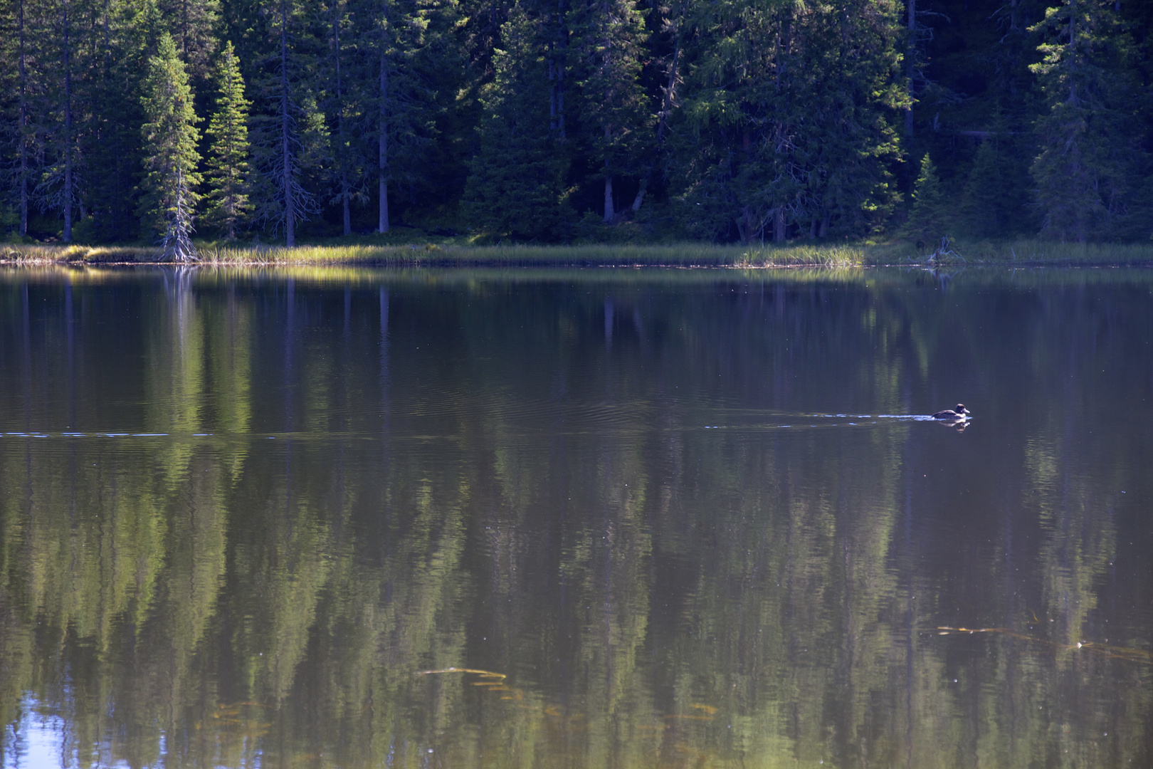 Grünsee