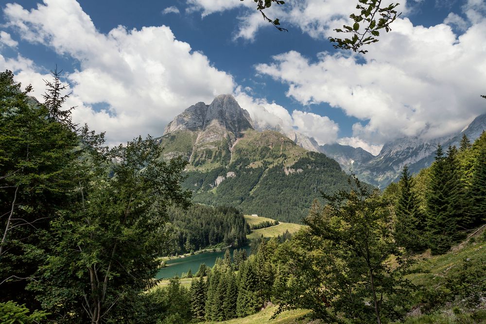 Grünsee am Plöckenpass