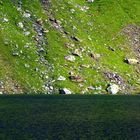 Grünsee Texelgruppe Südtirol