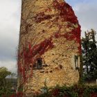 Grünstadt-Asselheim, Roter Turm