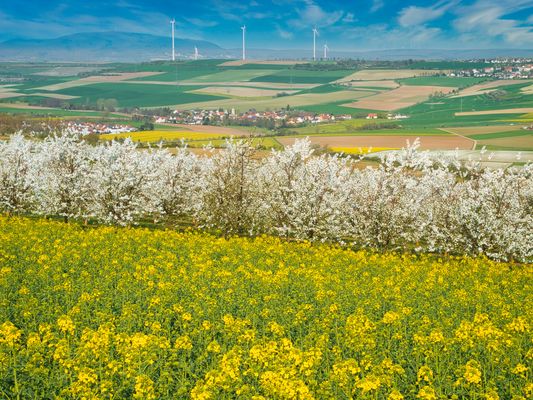 Grünstädter Berg 2020