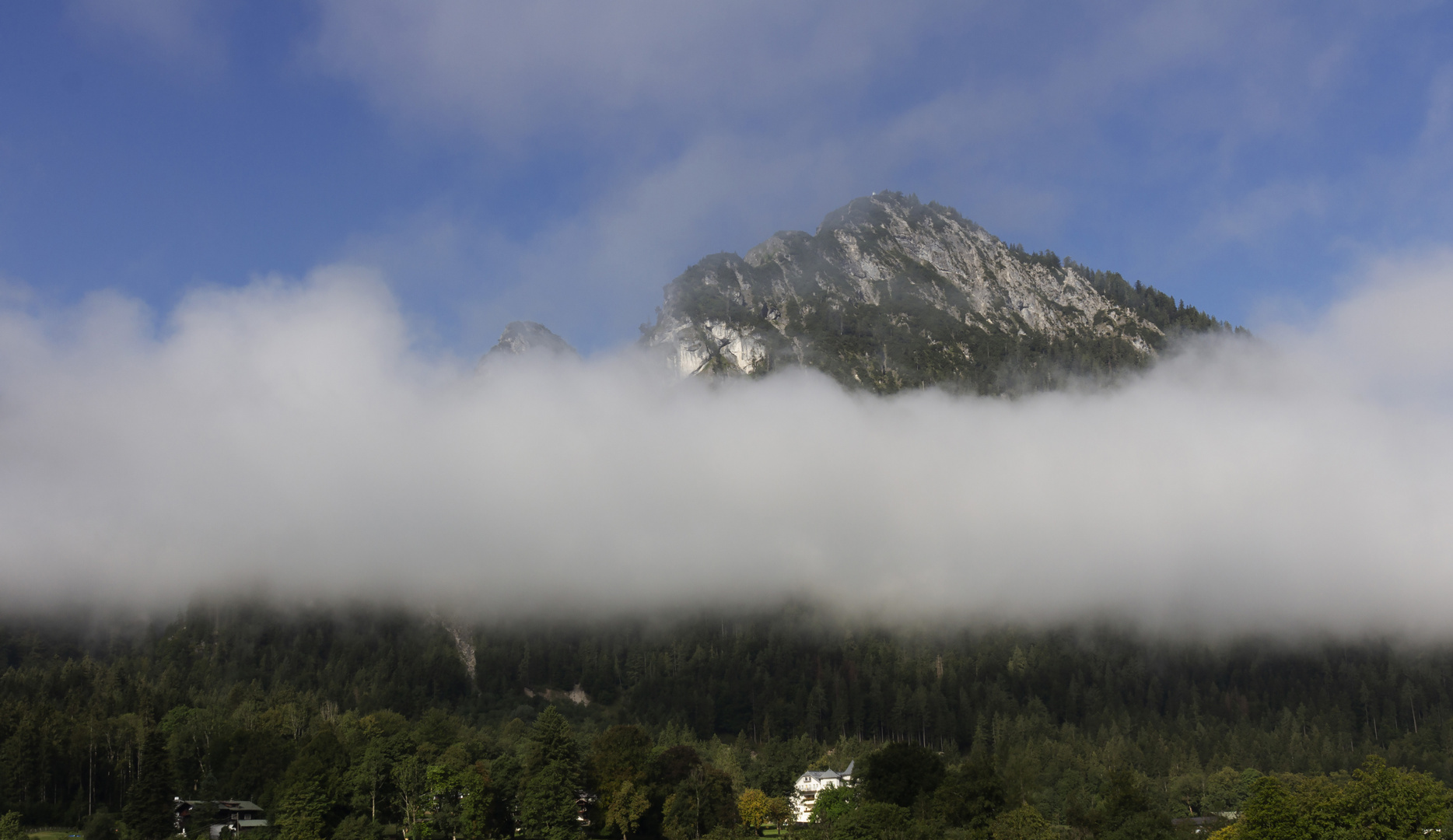 Grünstein am Morgen