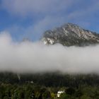 Grünstein am Morgen