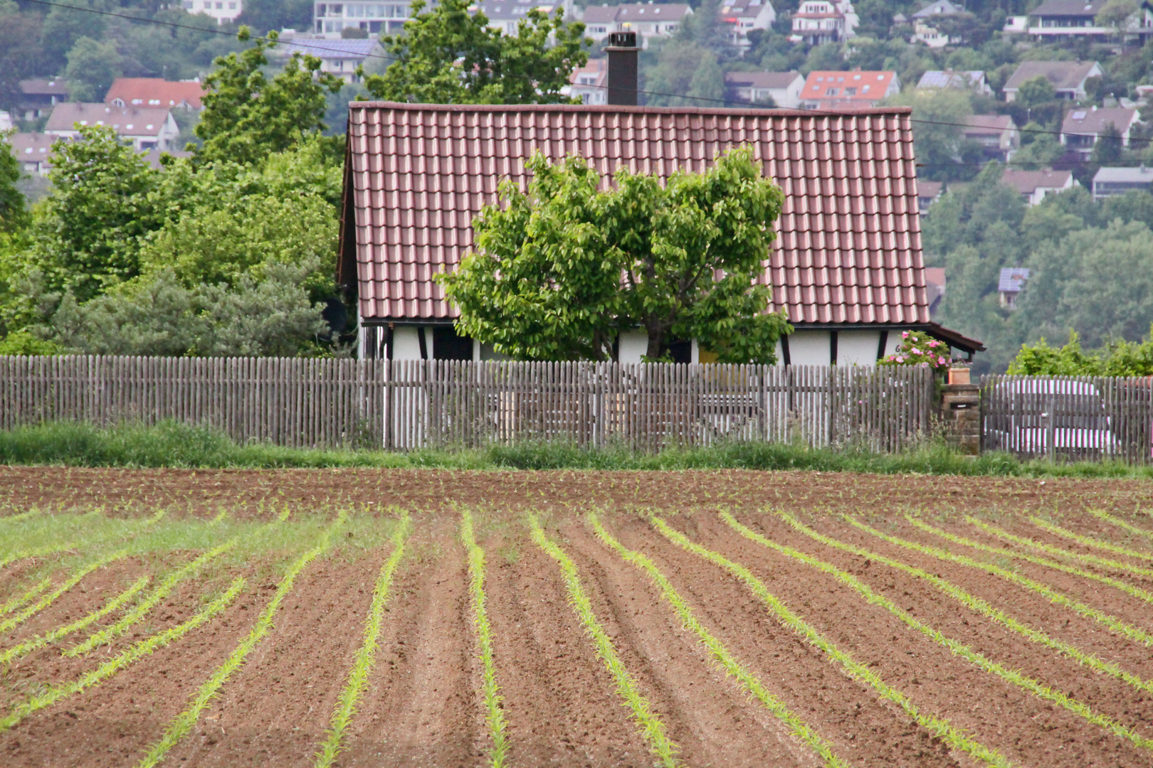 Grünstreifen