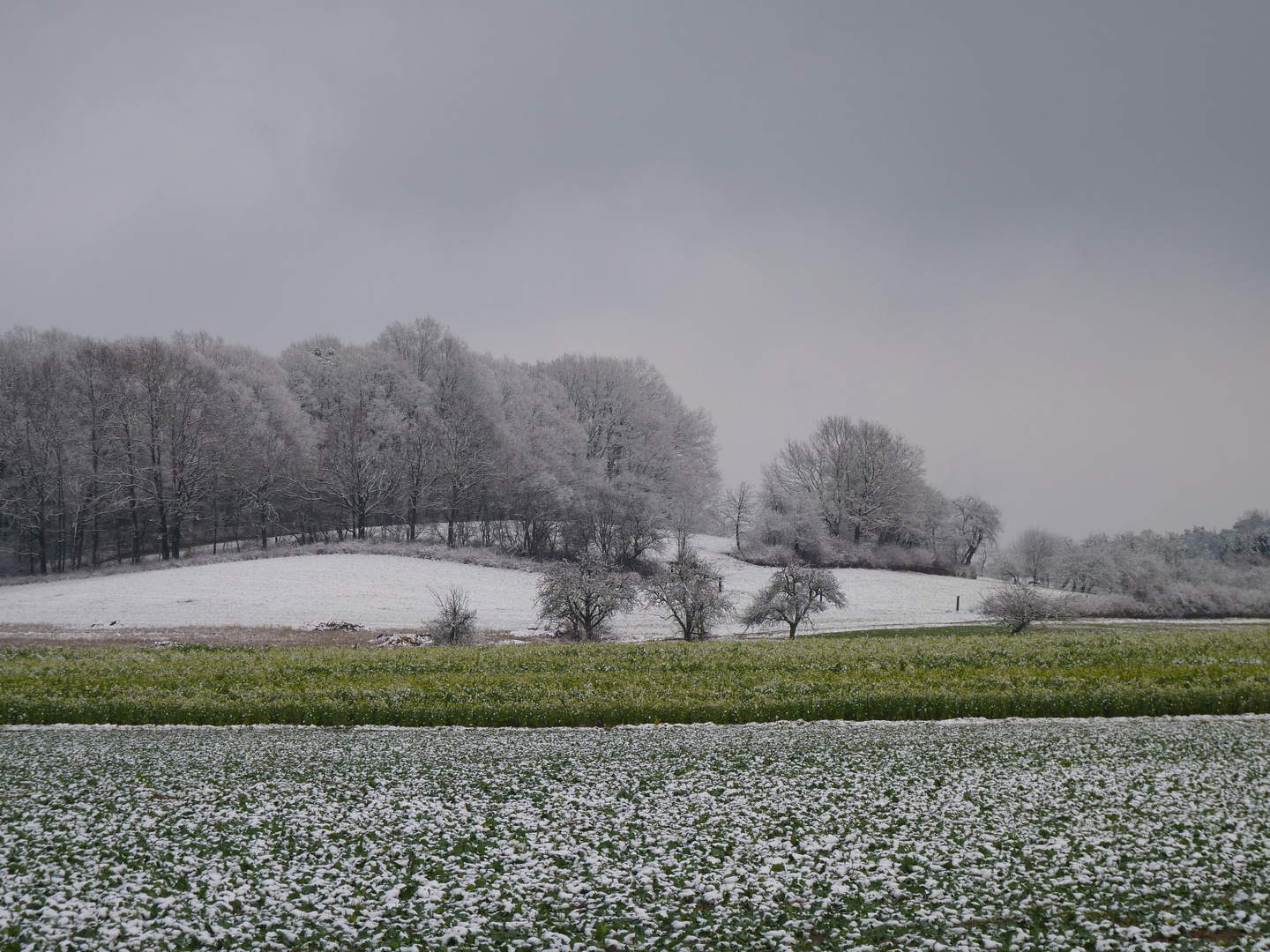 Grünstreifen