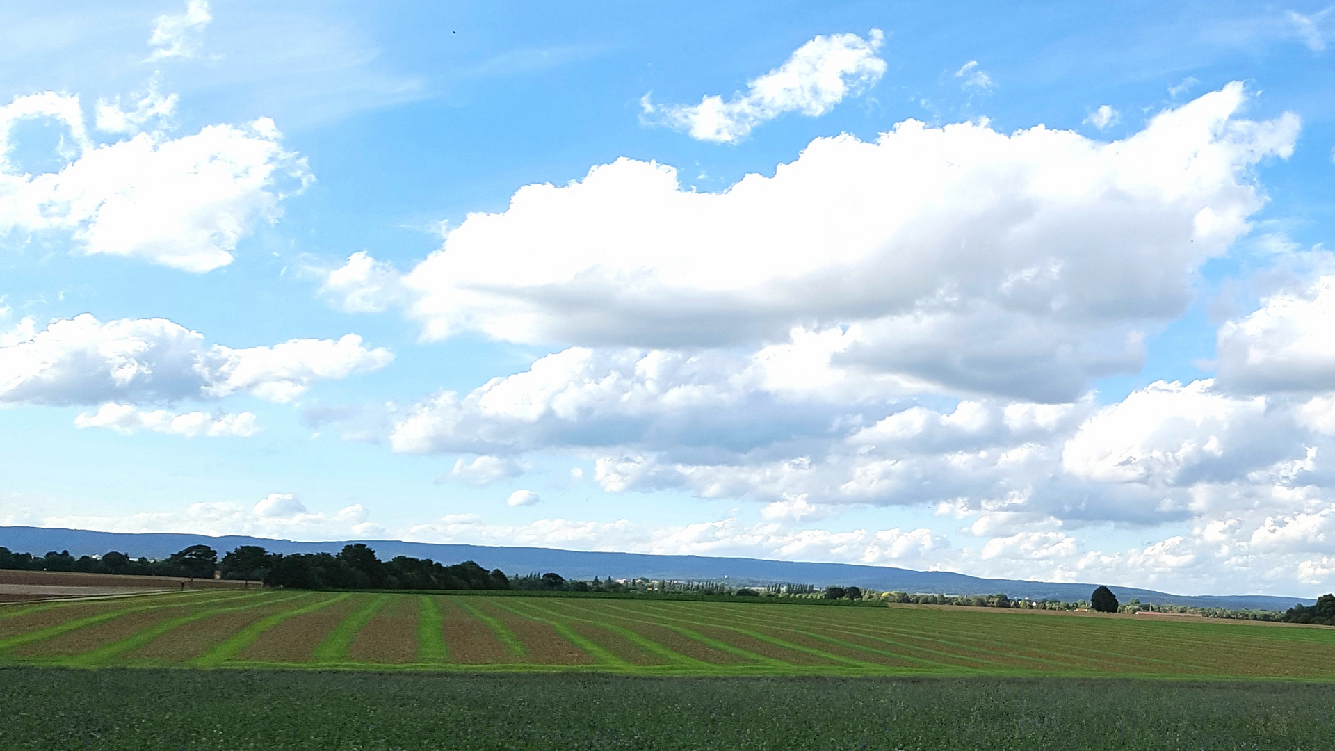 Grünstreifen...