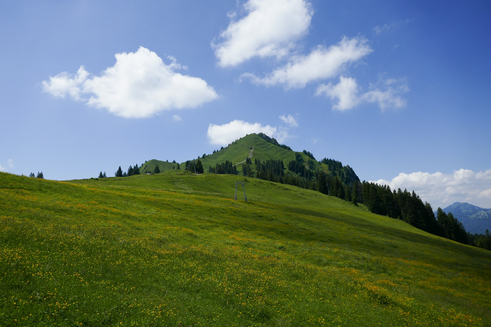 Grünten / Allgäu