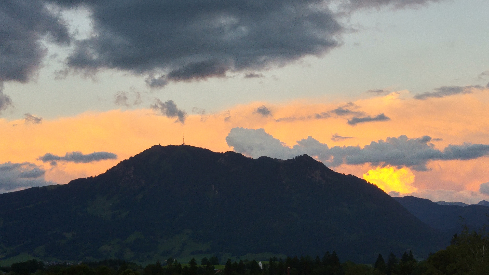 GRÜNTEN IM SONNENUNTERGANG