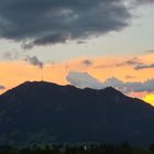 GRÜNTEN IM SONNENUNTERGANG