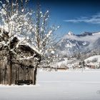 Grünten im Winter