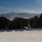 "Grünten (Sonthofen), Tiroler Alpen (Hindelang), Voralpen (Immenstadt)"