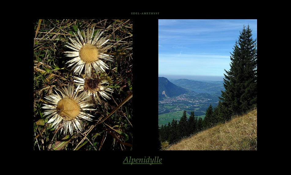 "Grünten-Wanderung 14"