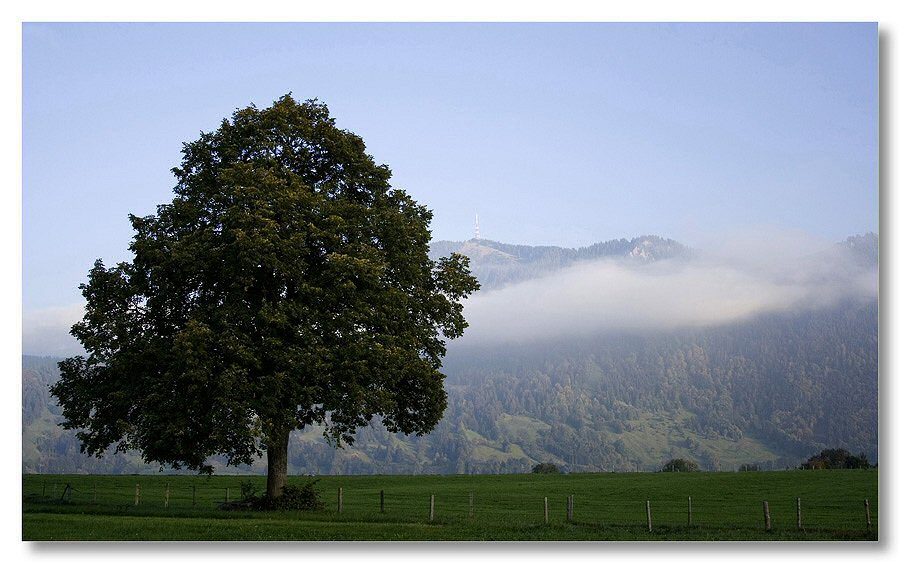 Grüntenblick