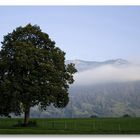 Grüntenblick