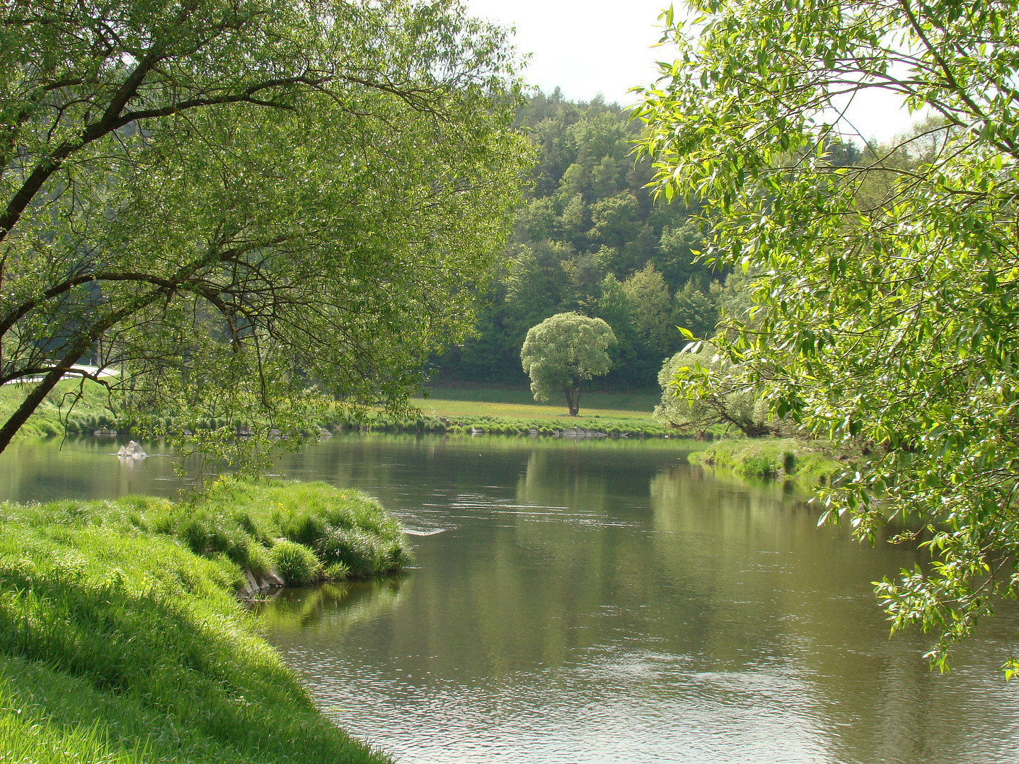 Grün...was gut tut ;-)