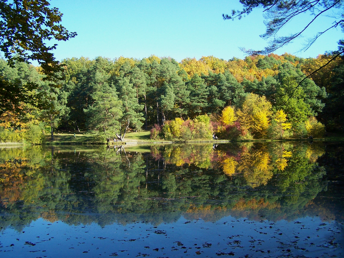 Grünwiesenweiher